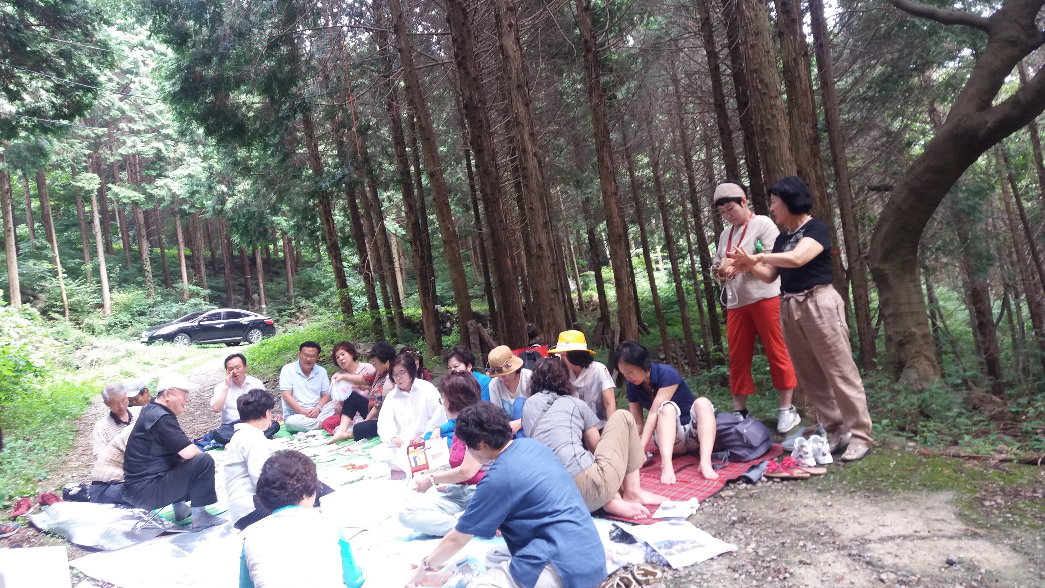 경남 창원 1박2일 워크샵 편백나무숲2.jpg